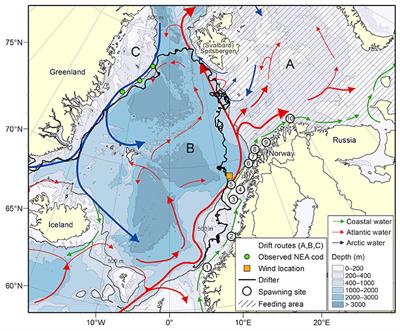 The Northeast Greenland Shelf as a Potential Habitat for the Northeast Arctic Cod